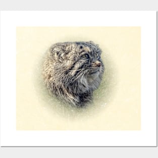 Manul-Pallas's cat Posters and Art